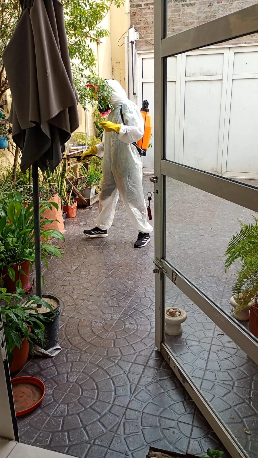 Trabajo de limpieza Brillafe 3